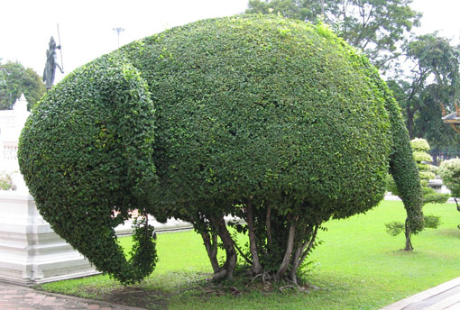 topiary_large